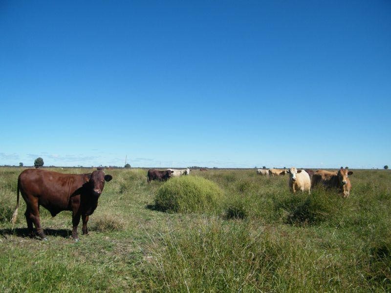 104 Mullers Road, Chinchilla QLD 4413