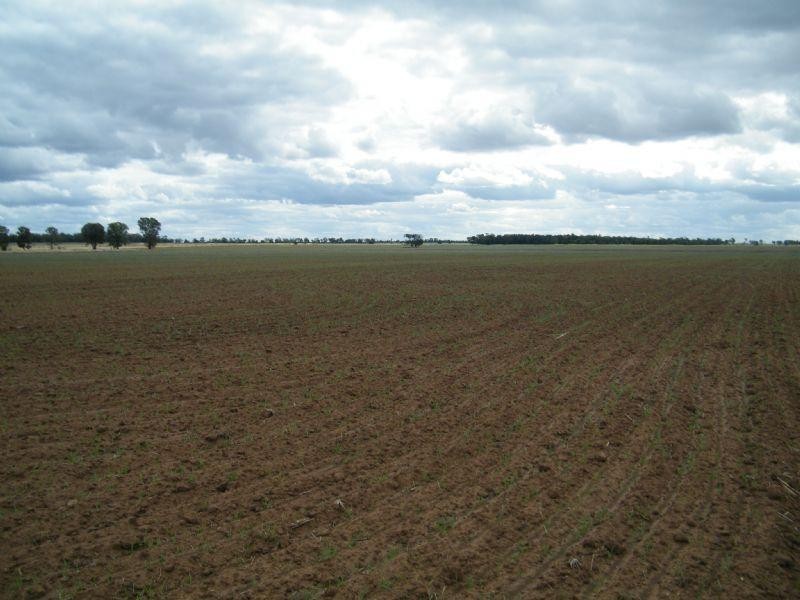 0 Henrys Road, Condamine QLD 4416