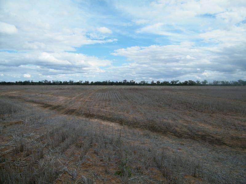 0 Henrys Road, Condamine QLD 4416