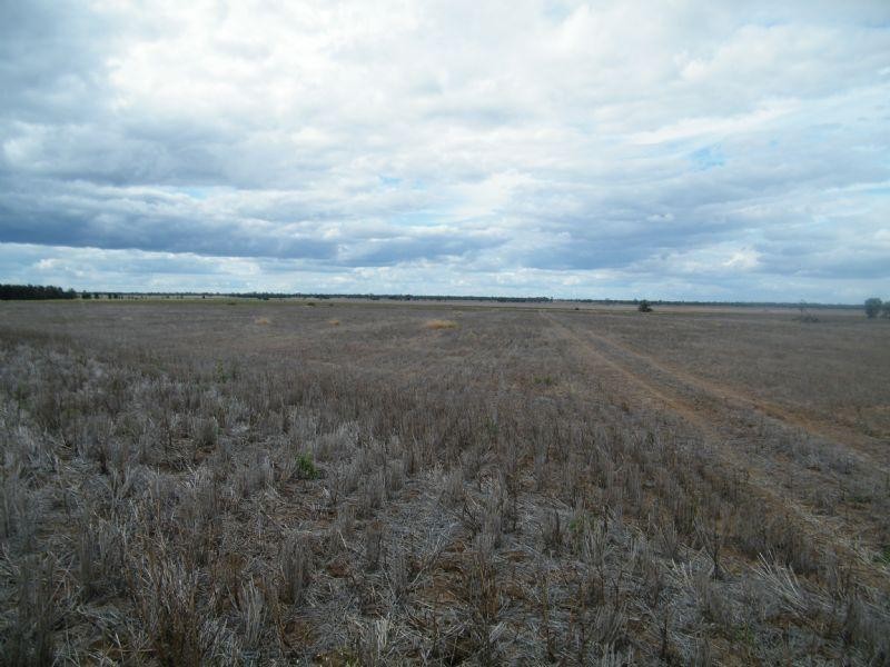 0 Henrys Road, Condamine QLD 4416