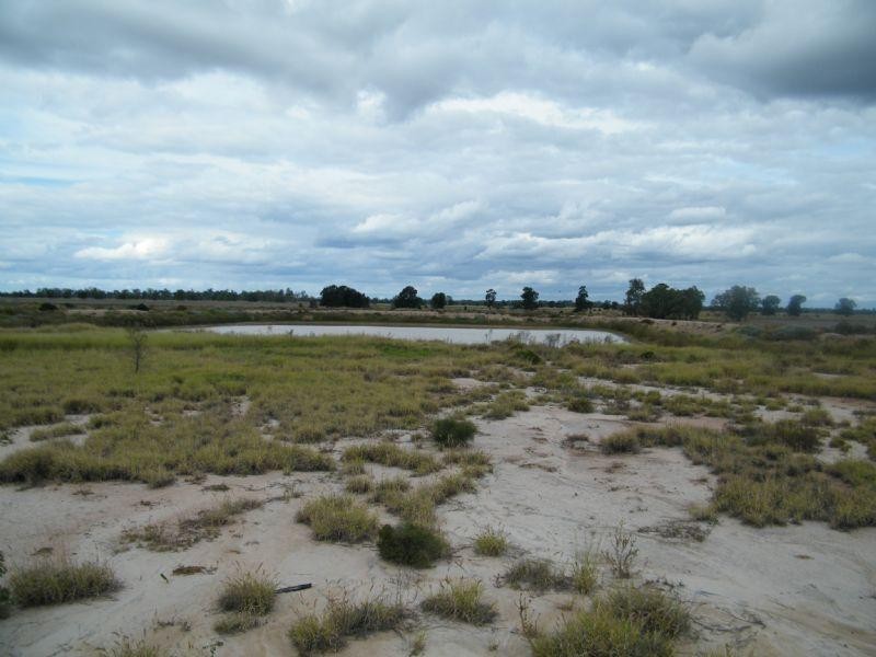 0 Henrys Road, Condamine QLD 4416