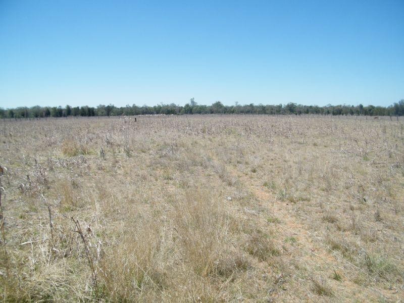 2165 Kogan-Condamine Road, Chinchilla QLD 4413