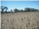 2165 Kogan-Condamine Road, Chinchilla QLD 4413