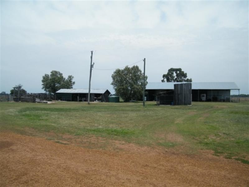 175 Len Middletons Road, Chinchilla QLD 4413