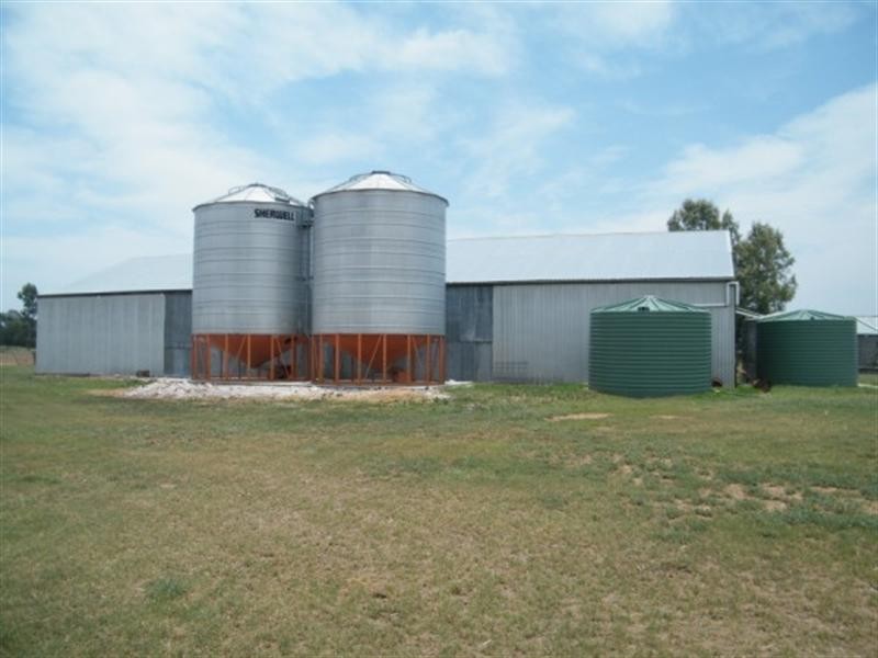 175 Len Middletons Road, Chinchilla QLD 4413