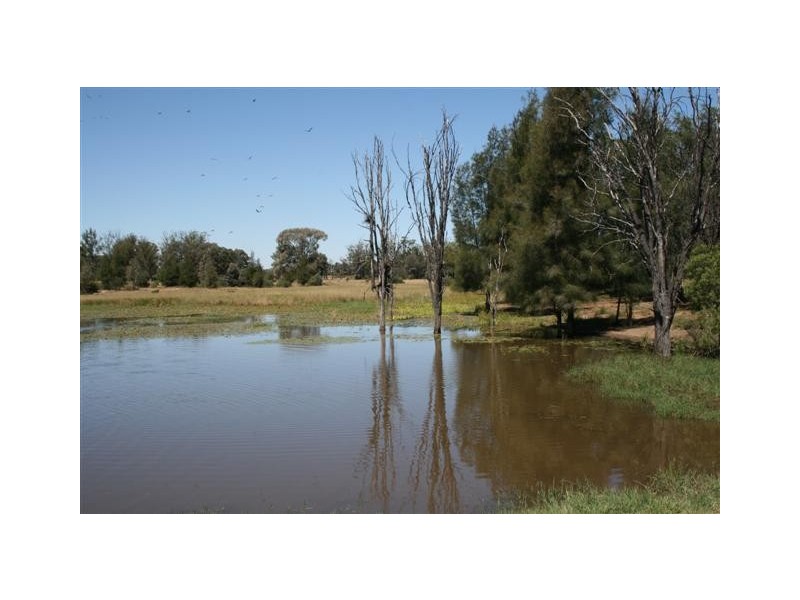Chinchilla QLD 4413