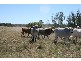 Chinchilla QLD 4413