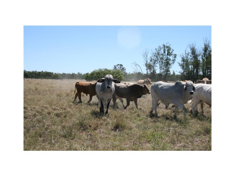 Chinchilla QLD 4413