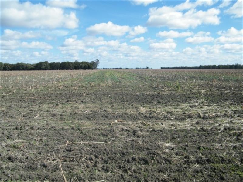BLACKDOWN ROMA-CONDAMINE Road, Condamine QLD 4416