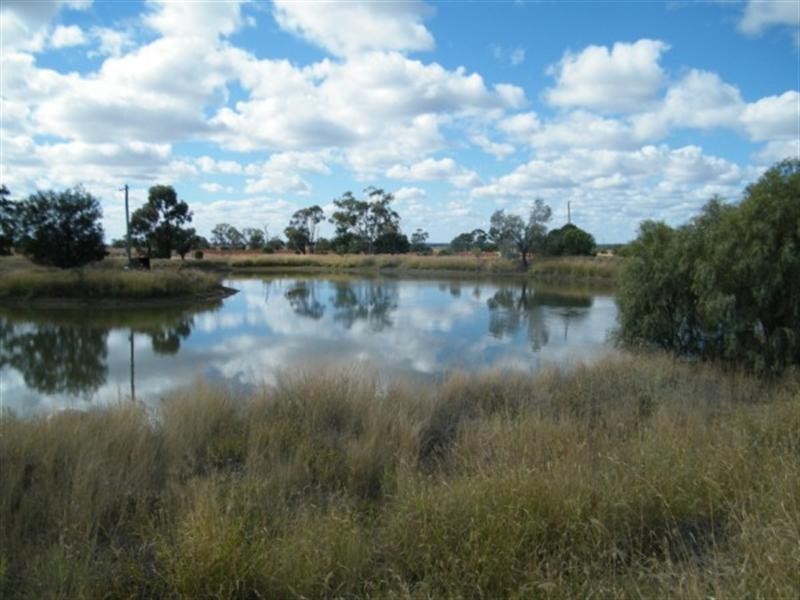 BLACKDOWN ROMA-CONDAMINE Road, Condamine QLD 4416
