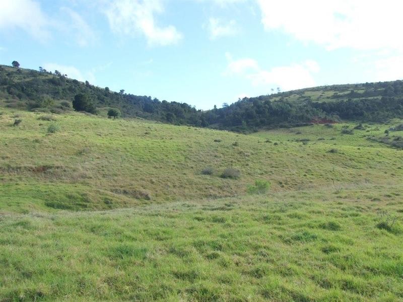 107 Edser Road, Crows Nest QLD 4355