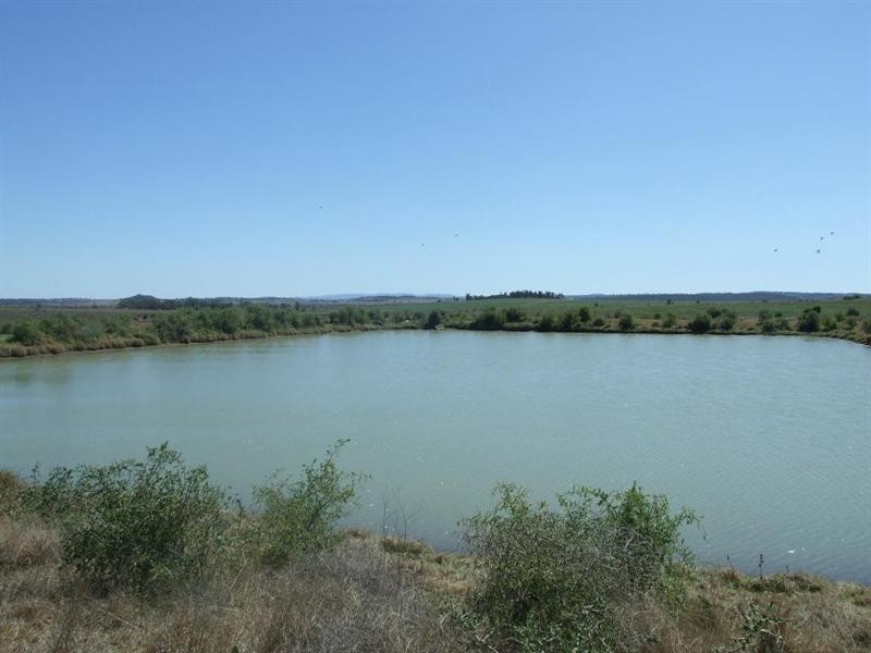 2024 Oakey-Cooyar Road, Highland Plains QLD 4401