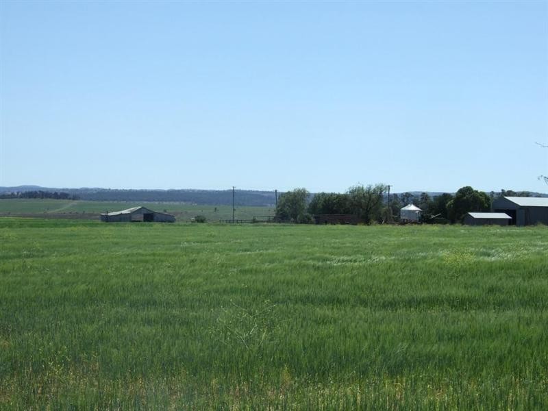 2024 Oakey-Cooyar Road, Highland Plains QLD 4401