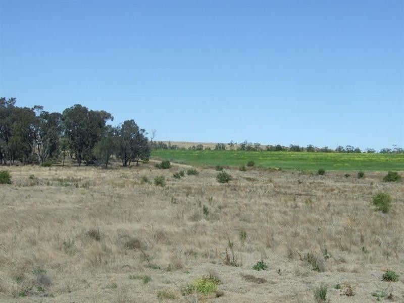 2024 Oakey-Cooyar Road, Goombungee QLD 4354