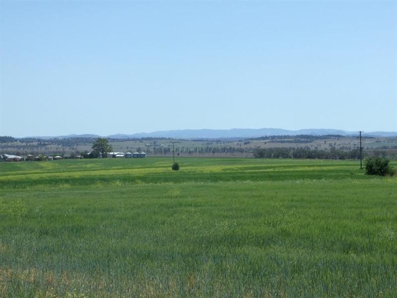 2024 Oakey-Cooyar Road, Goombungee QLD 4354