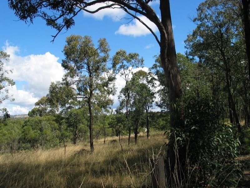 00 Dingo Mountain Road, Crows Nest QLD 4355