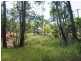 00 Dingo Mountain Road, Crows Nest QLD 4355