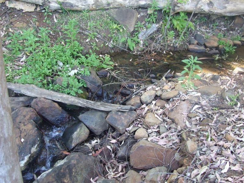 Lot 57 Murphy Road, Ravensbourne QLD 4352