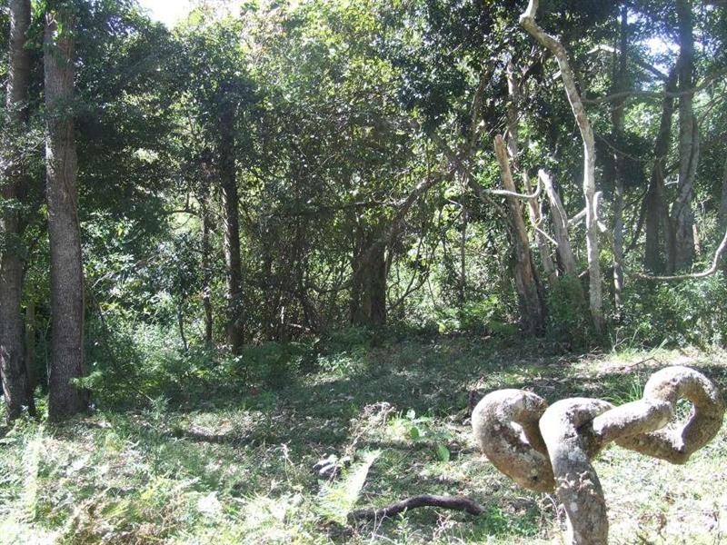 Lot 57 Murphy Road, Ravensbourne QLD 4352