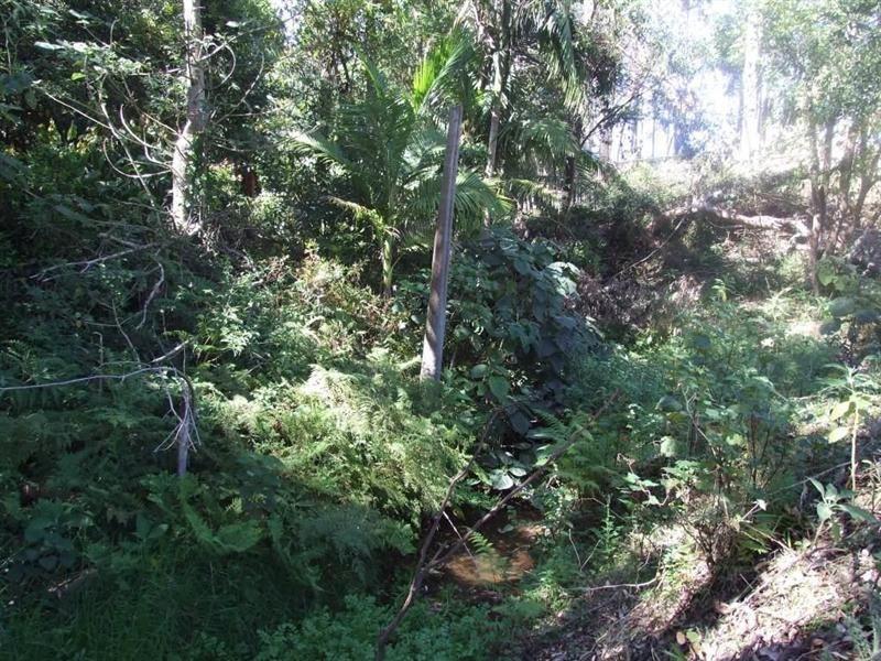 Lot 57 Murphy Road, Ravensbourne QLD 4352