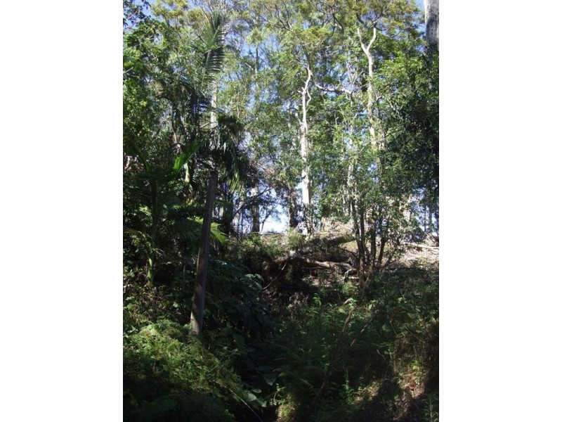 Lot 57 Murphy Road, Ravensbourne QLD 4352