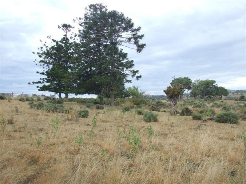 00 Haden Crows Nest Road, Haden QLD 4353