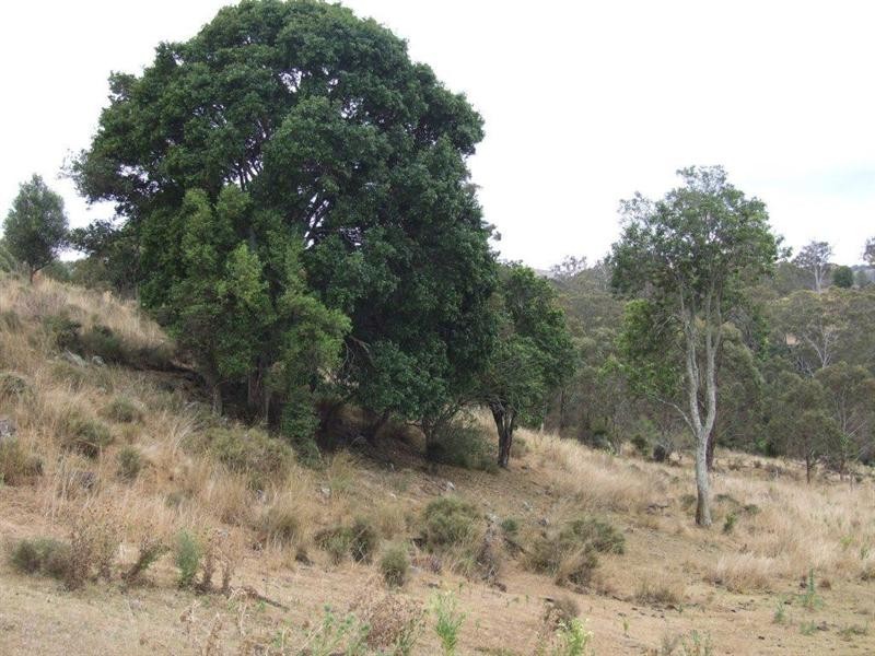 00 Haden Crows Nest Road, Haden QLD 4353