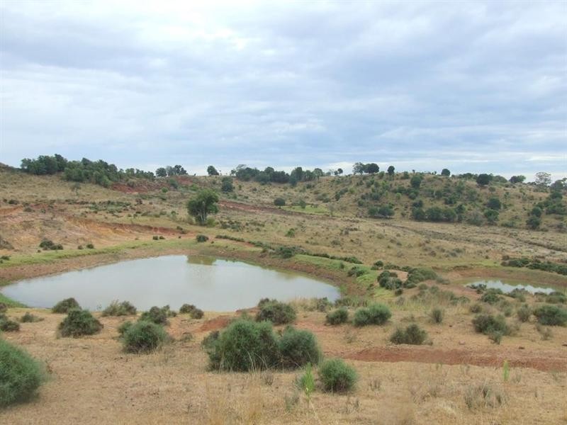 000 Haden Crows Nest Road, Crows Nest QLD 4355