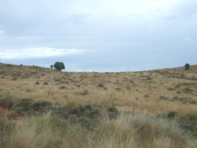 000 Haden Crows Nest Road, Crows Nest QLD 4355