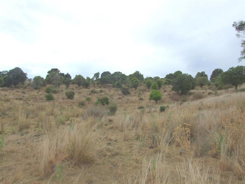 000 Haden Crows Nest Road, Crows Nest QLD 4355