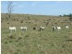 Lot 1 and 2 New England Highway, Crows Nest QLD 4355