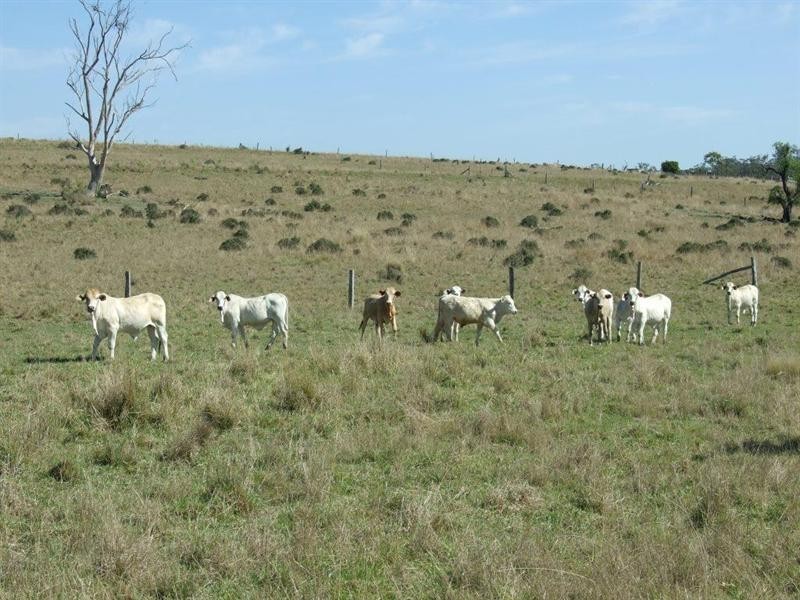 Lot 1 and 2 New England Highway, Crows Nest QLD 4355