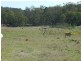 Lot 1 and 2 New England Highway, Crows Nest QLD 4355