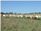 Lot 1 and 2 New England Highway, Crows Nest QLD 4355