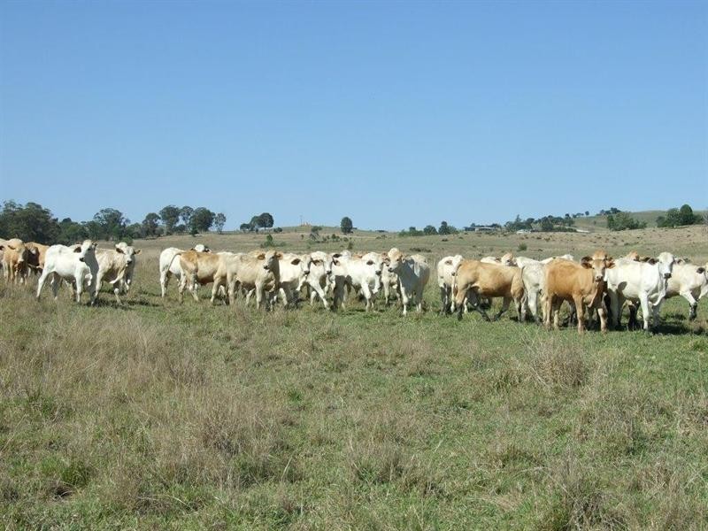 Lot 1 and 2 New England Highway, Crows Nest QLD 4355