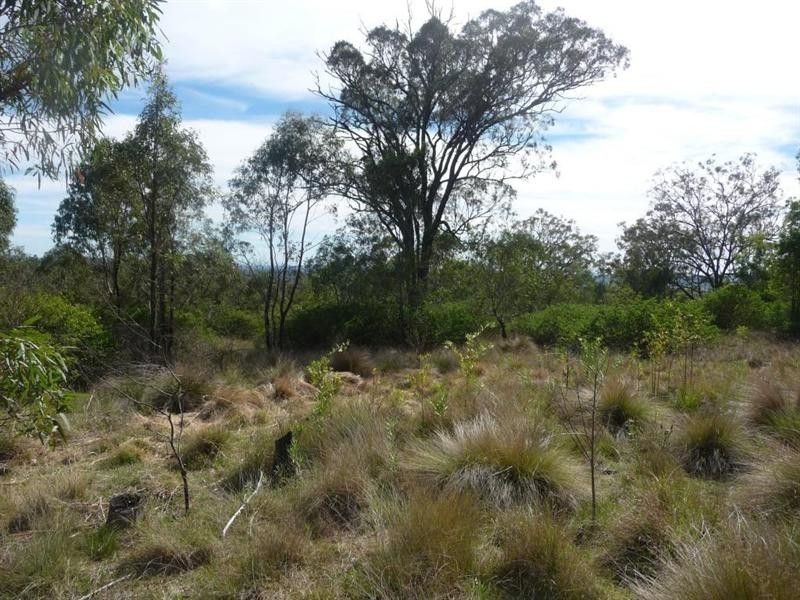 L235 Coalbank Boundary Road, Haden QLD 4353