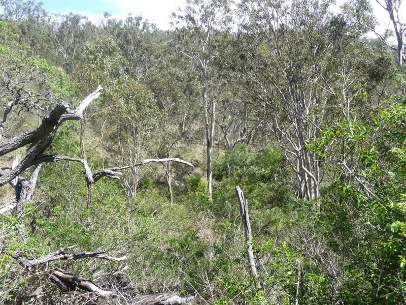 L235 Coalbank Boundary Road, Haden QLD 4353