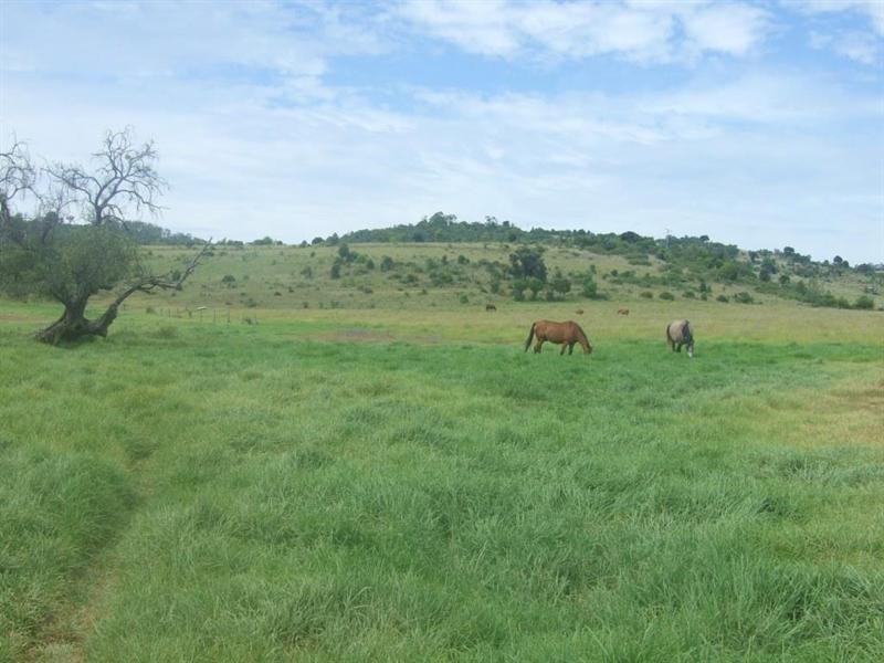 20 Mann Road, Haden QLD 4353