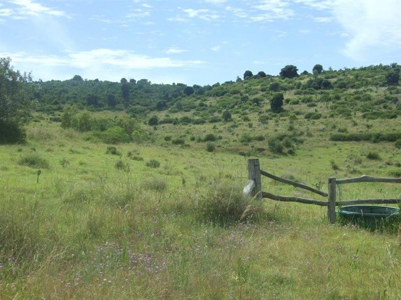 20 Mann Road, Haden QLD 4353