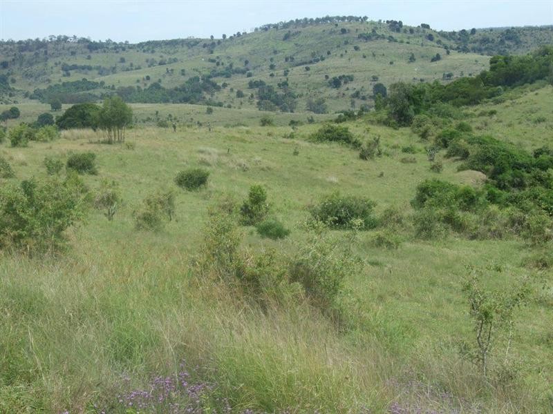 20 Mann Road, Haden QLD 4353