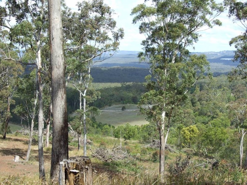 Lot 205 Anduramba Road, Crows Nest QLD 4355