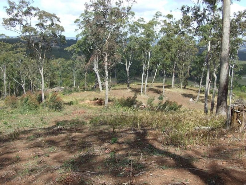 Lot 205 Anduramba Road, Crows Nest QLD 4355
