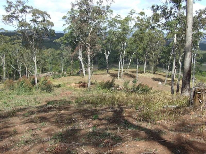Lot 205 Anduramba Road, Crows Nest QLD 4355