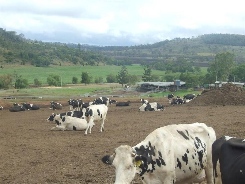 151 Brigalow Park School Road, Kulpi QLD 4352