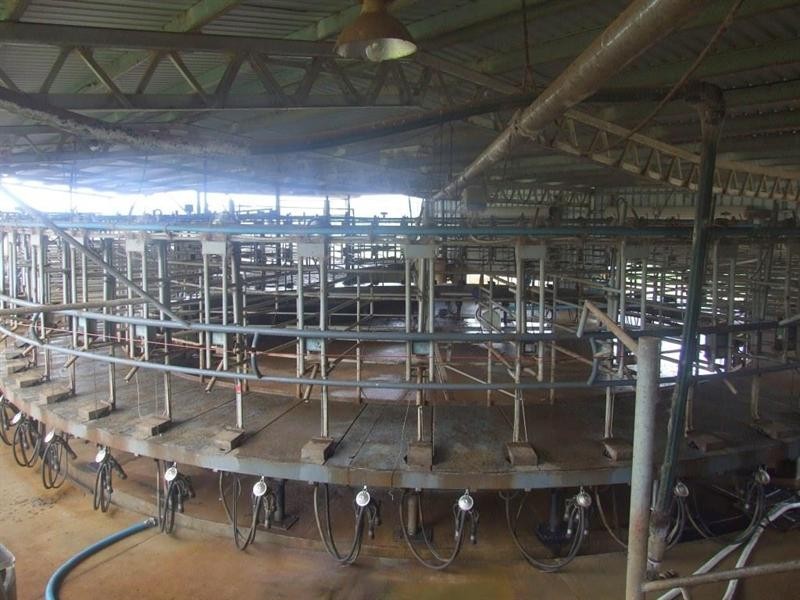 151 Brigalow Park School Road, Kulpi QLD 4352