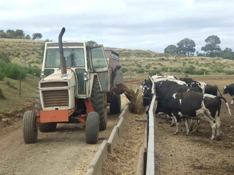 151 Brigalow Park School Road, Kulpi QLD 4352