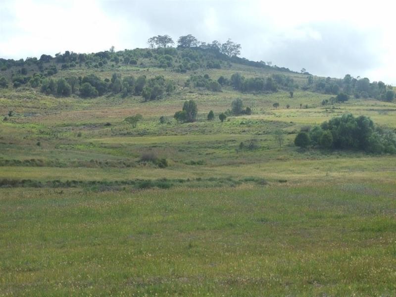 151 Brigalow Park School Road, Kulpi QLD 4352