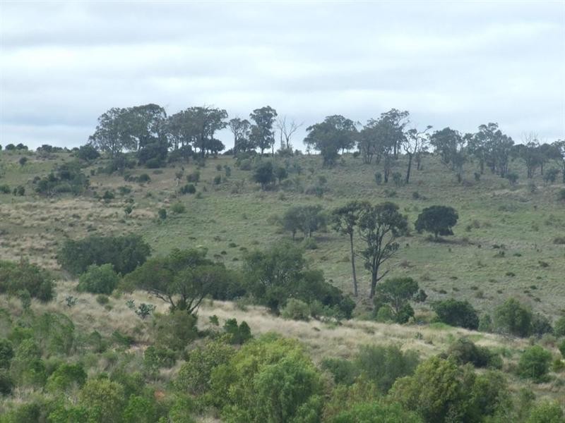 151 Brigalow Park School Road, Kulpi QLD 4352