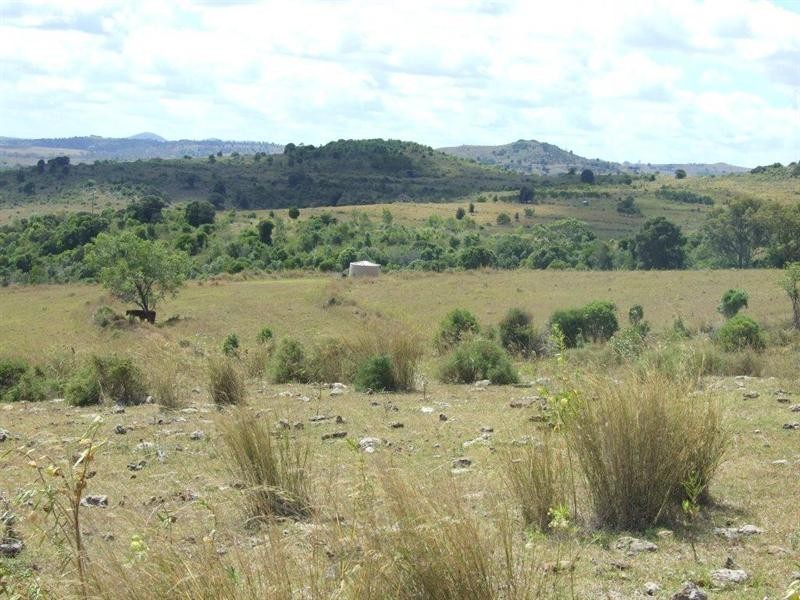 1179 Djuan Road, Haden QLD 4353