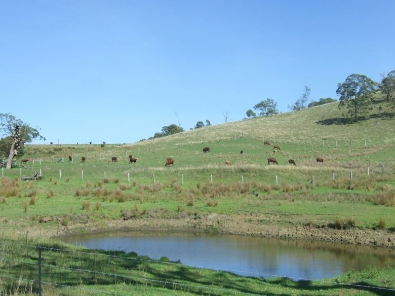 1225 Pierce Creek Road, Crows Nest QLD 4355